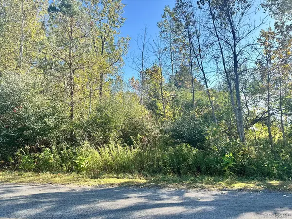 0 S 11 Mile Road, Linwood, MI 48634