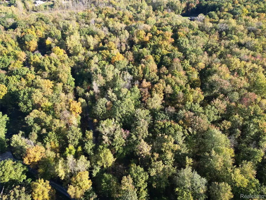 Lot #8 Deadwood, Brighton, MI 48114 - Image #2