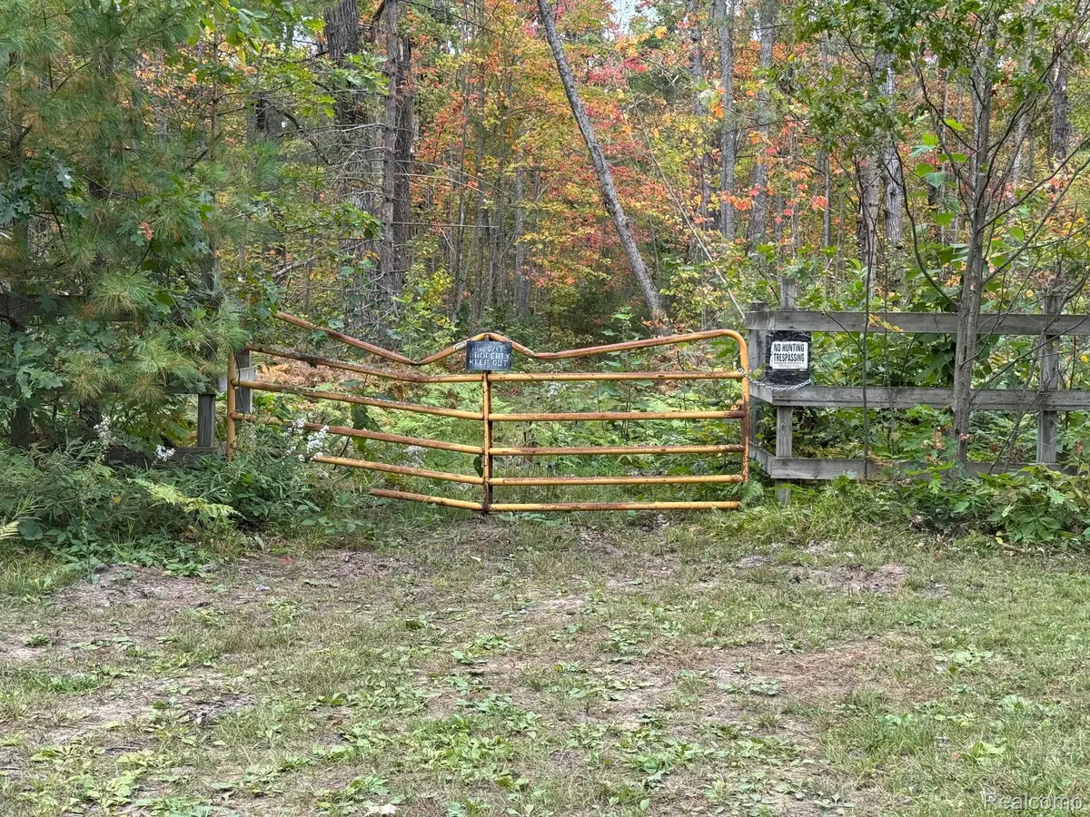 0 Aarons Road, Lewiston, MI 49756 - Image #1