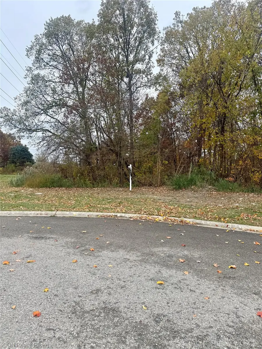 10380 Excalibur Drive, Shelby Charter Township, MI 48315 - Image #2