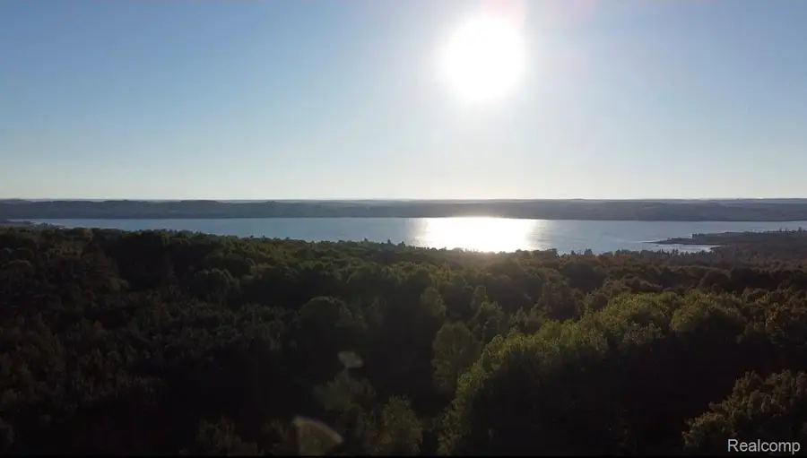 00 Shanty Creek Rd., Bellaire, MI 49615 - Image #3