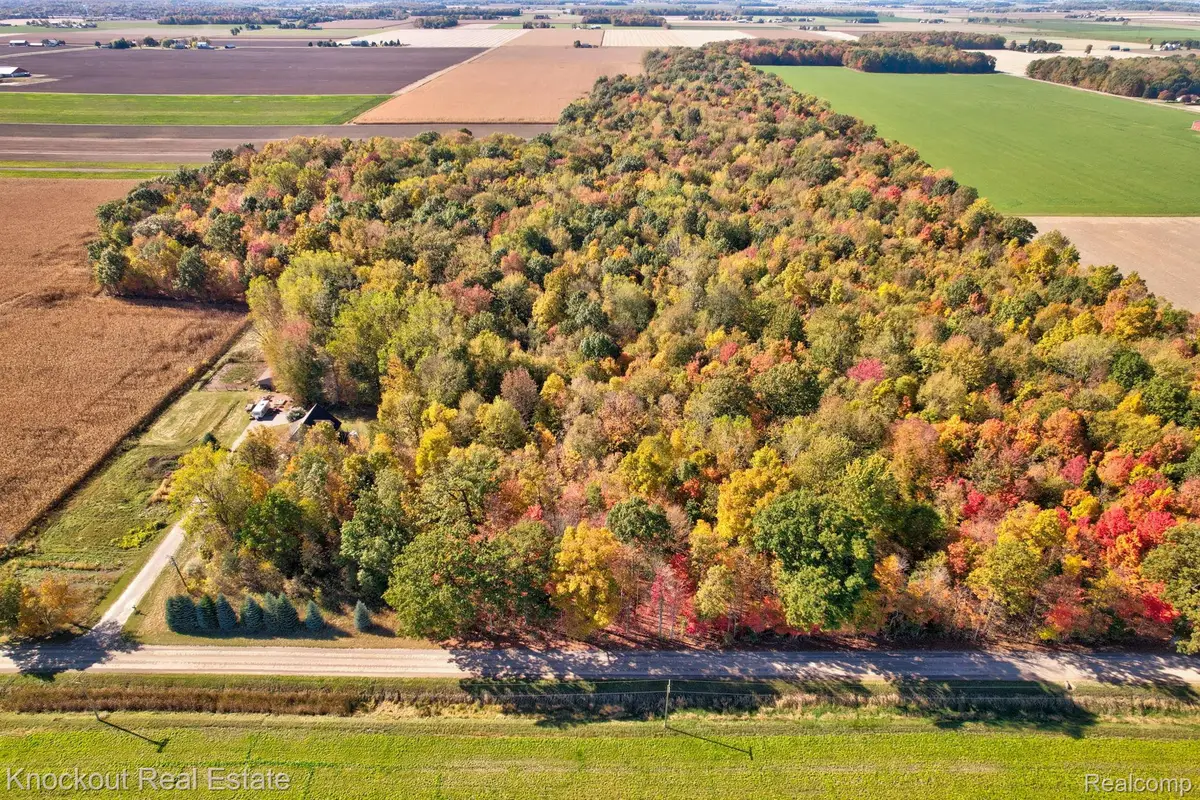 4000 S Reese Road, Frankenmuth, MI 48734 - Image #1