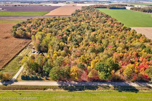 4000 S Reese Road, Frankenmuth, MI 48734