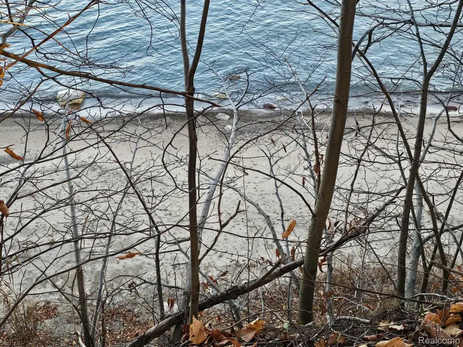 00 N Lakeshore Drive, Deckerville, MI 48427 - #3