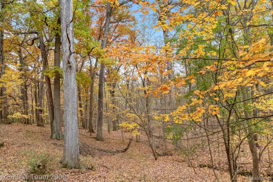 21885 Maplewood Drive, Southfield, MI 48033 - Image #3