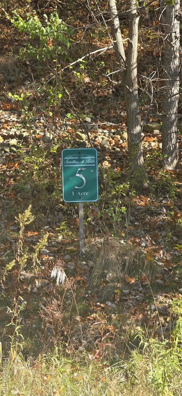 11136 Delphinium Drive, Fenton, MI 48430