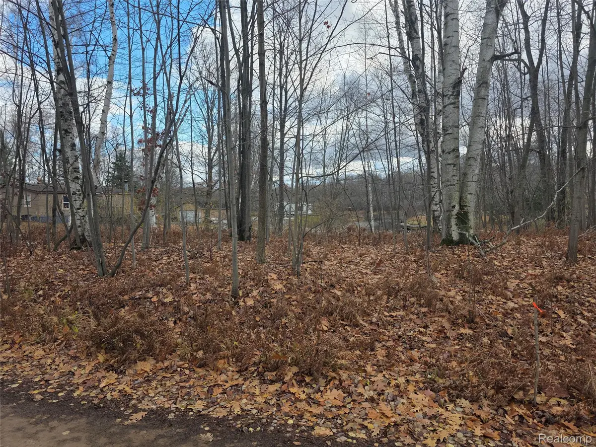 VL Birch Road, Evart, MI 49631 - Image #1