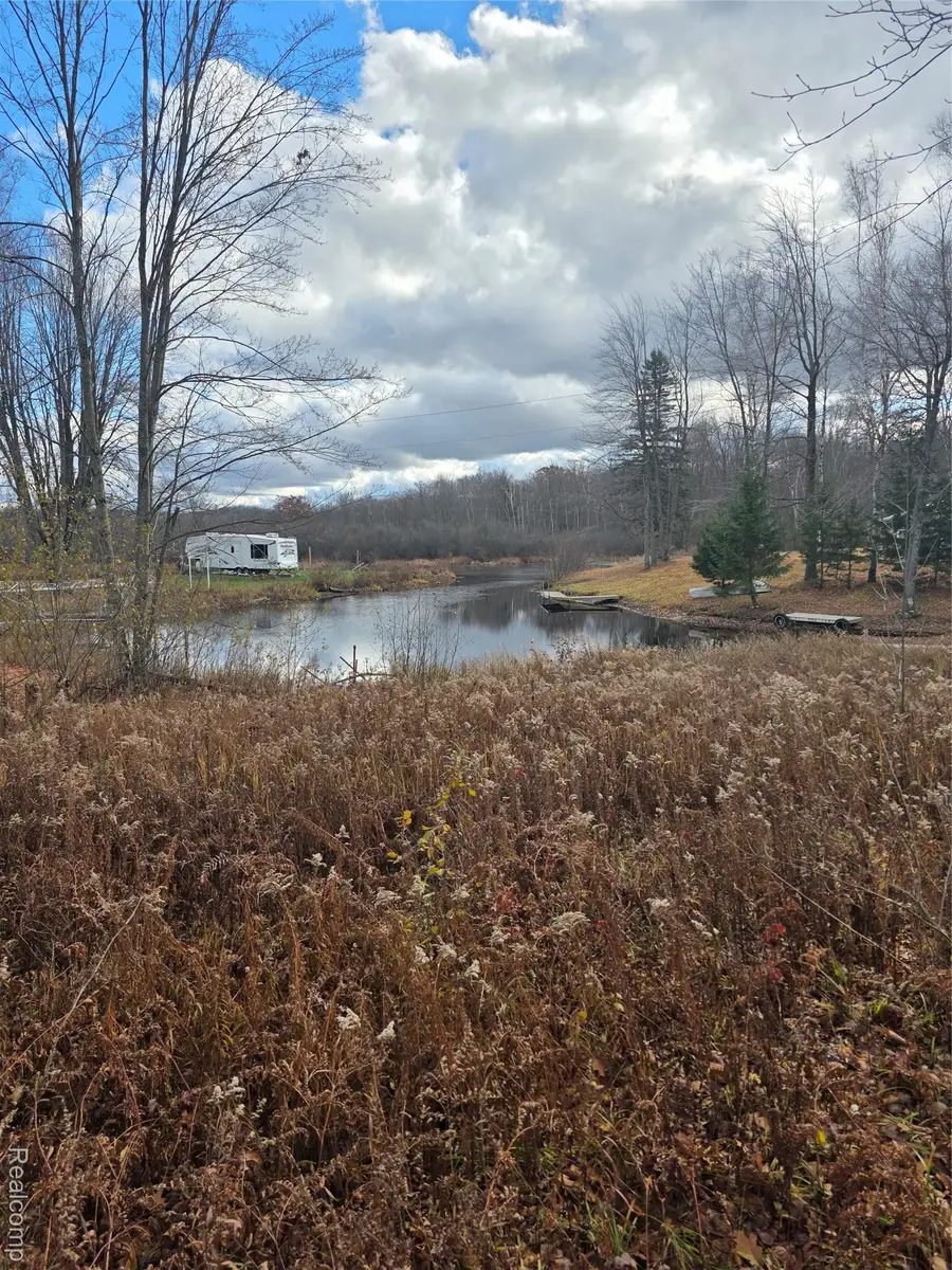 VL Birch Road, Evart, MI 49631 - Image #3