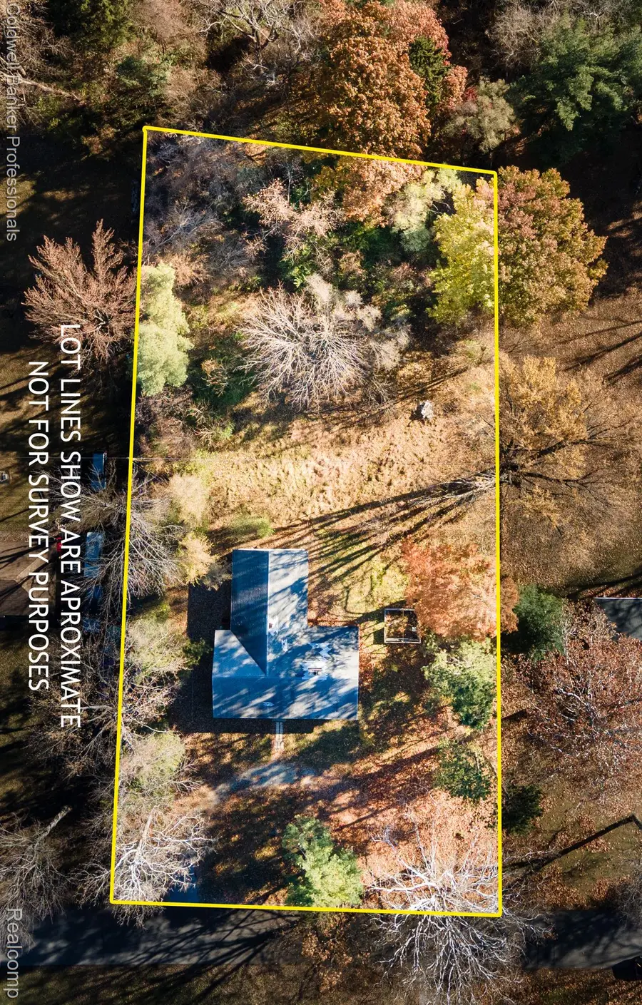 22806 Carleton Avenue, Southfield, MI 48033 - Image #3