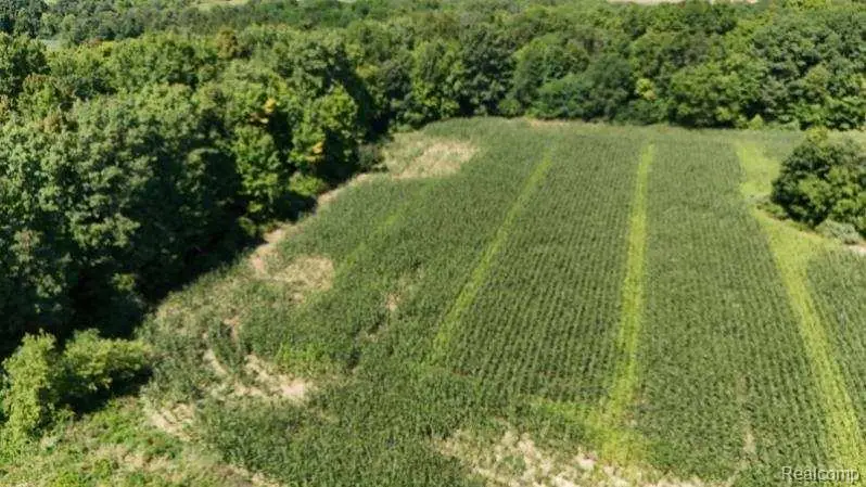 Parcel 4 Sycamore St, Dryden, MI 48428 - Image #1