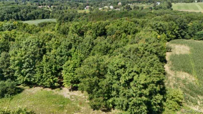 Parcel 4 Sycamore St, Dryden, MI 48428 - Image #2