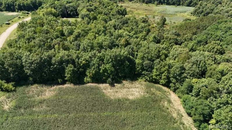 Parcel 4 Sycamore St, Dryden, MI 48428 - Image #3