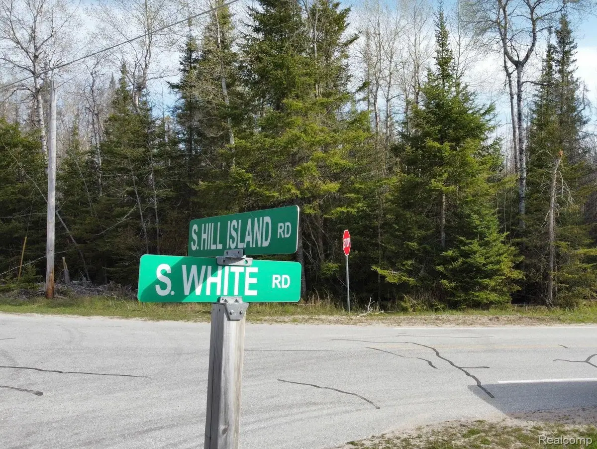 0 S White Road, Cedarville, MI 49719 - Image #1