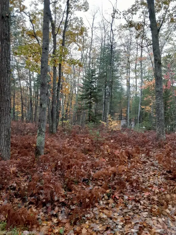 6710 Chippewa Trail, RogersCity, MI 49779