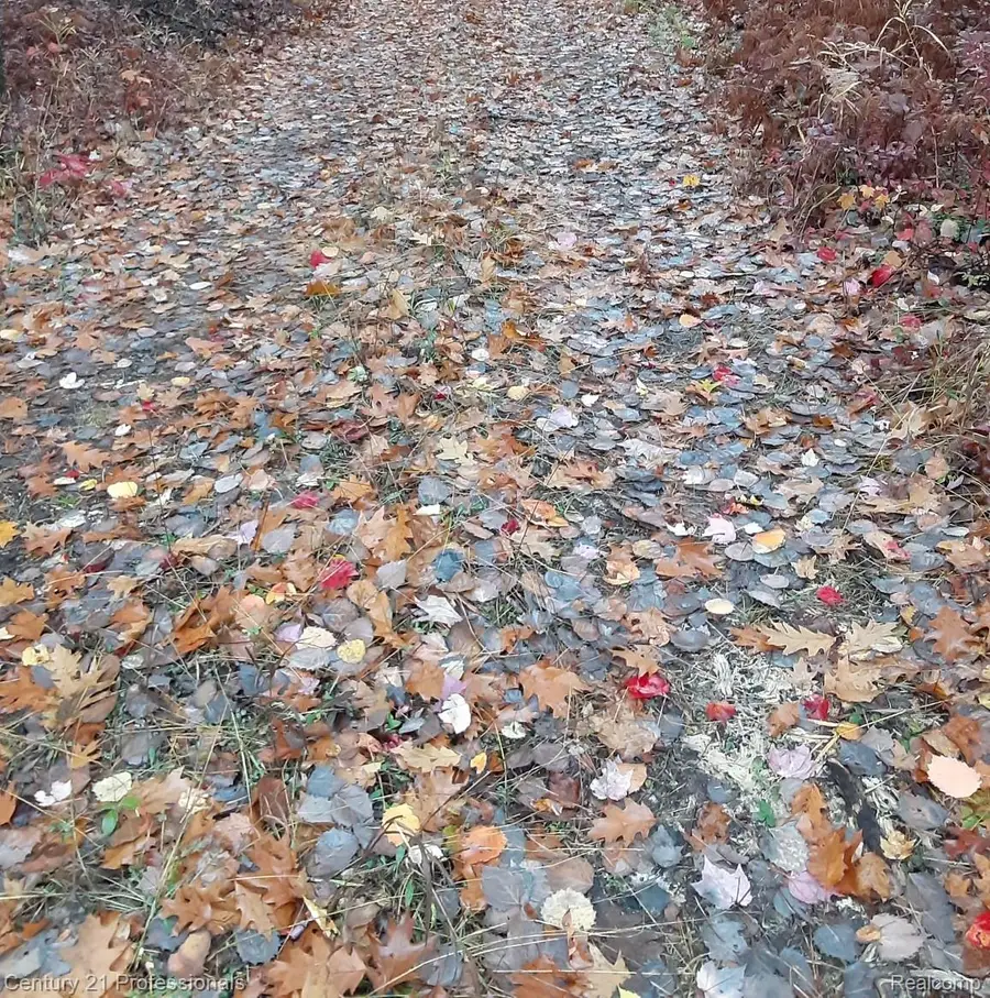 6710 Chippewa Trail, Rogers, MI 49779 - Image #2