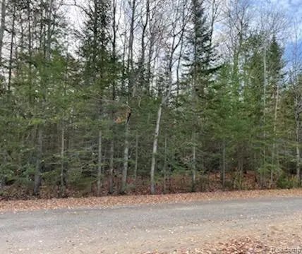 9763 High Banks, Cheboygan, MI 49721