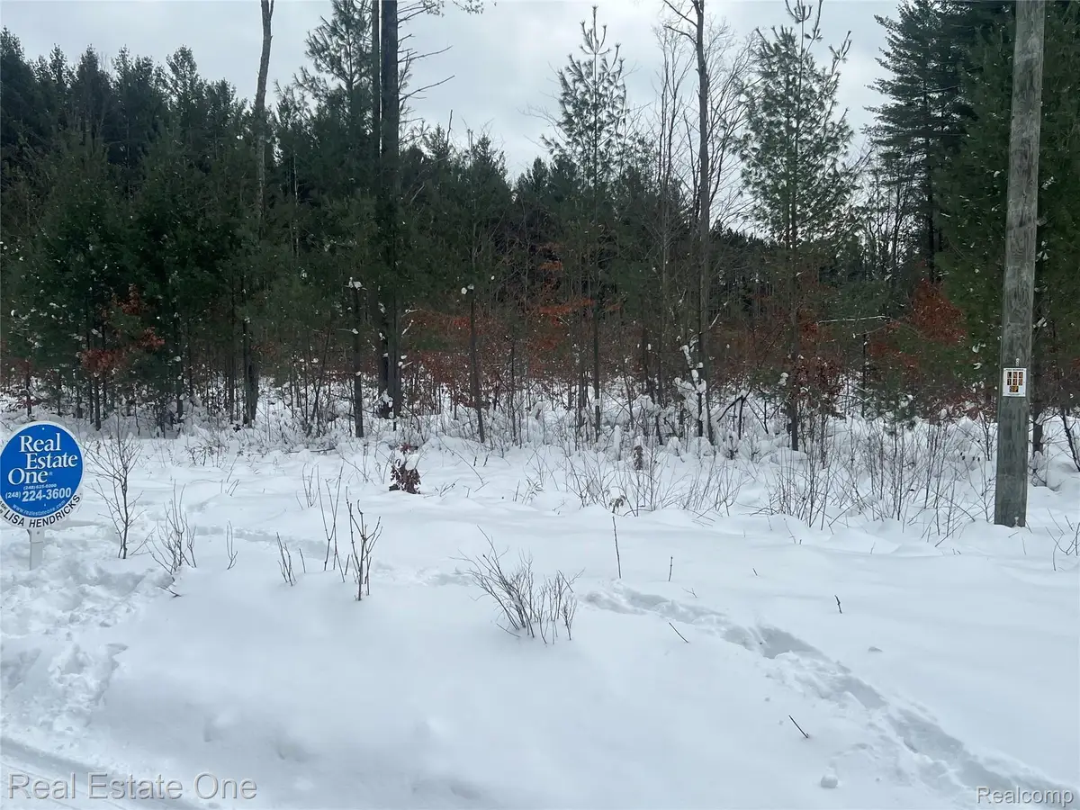 V/L 1 Mile Road, Leroy, MI 49655 - Image #1