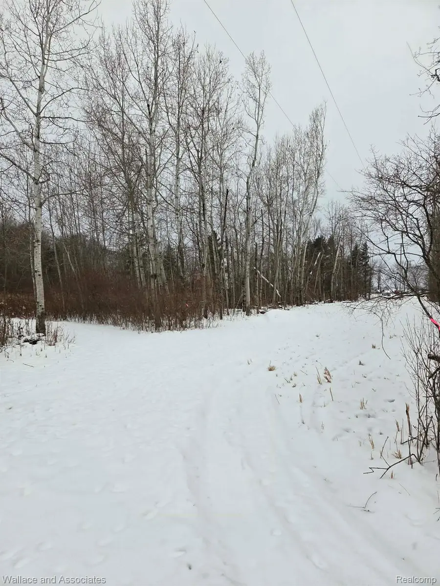0000 Hadley Road, Decker, MI 48426 - Image #2