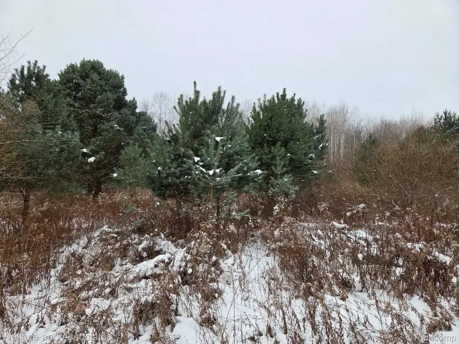 0000 Hadley Road, Decker, MI 48426 - Image #3