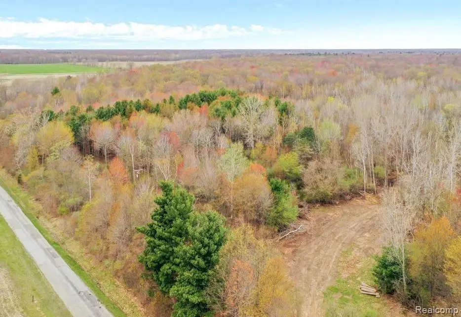 7000 Canada Road, Birch Run Township, MI 48415 - Image #1