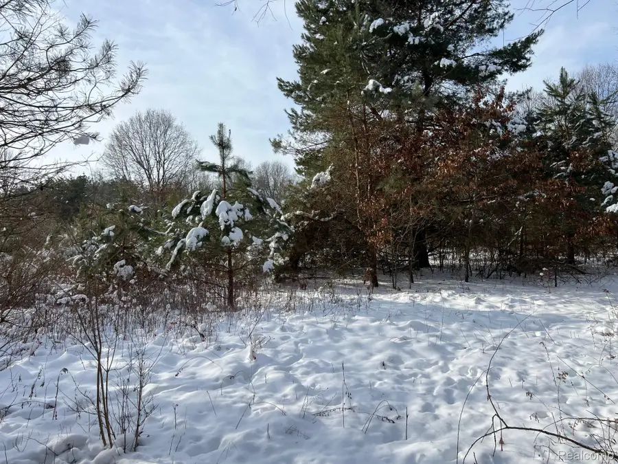 10.10 ACRES Laur, Deerfield, MI 48461 - Image #2