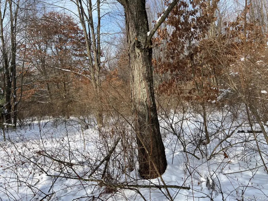 10.10 ACRES Laur, Deerfield, MI 48461 - Image #3