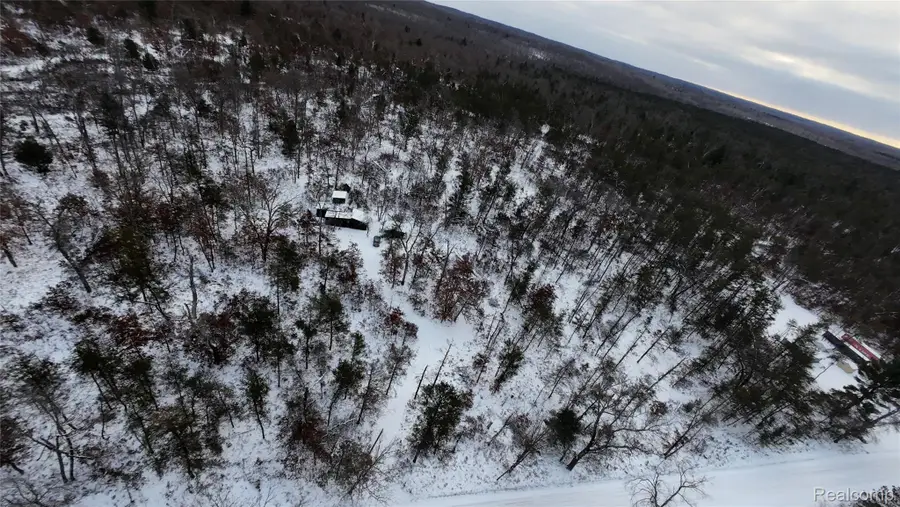 10270 S Queens Highway, Chase, MI 49623 - #3