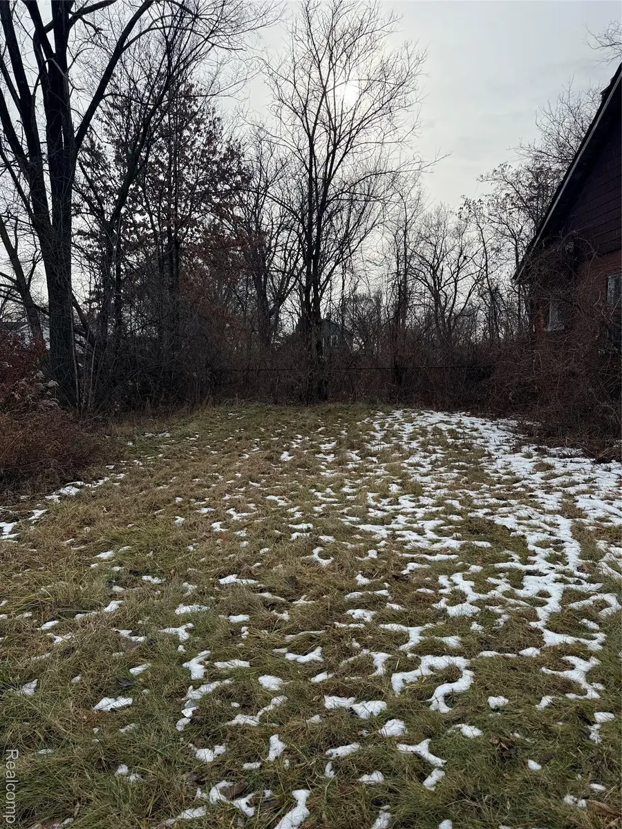 8601 Chalfonte Street, Detroit, MI 48238 - #2