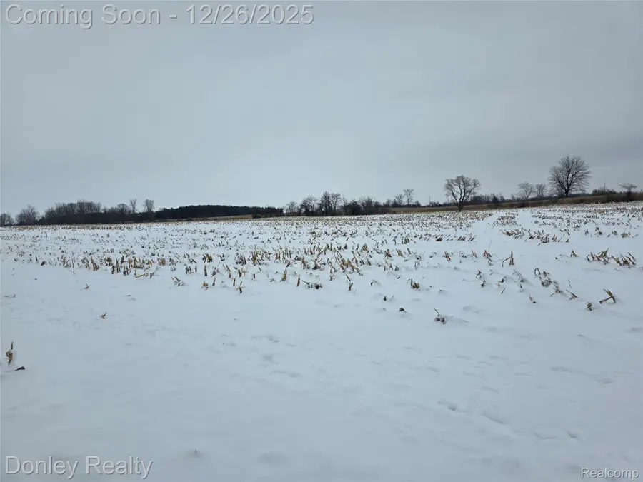 9999 Montgomery, Marlette Township, MI 48453 - Image #2
