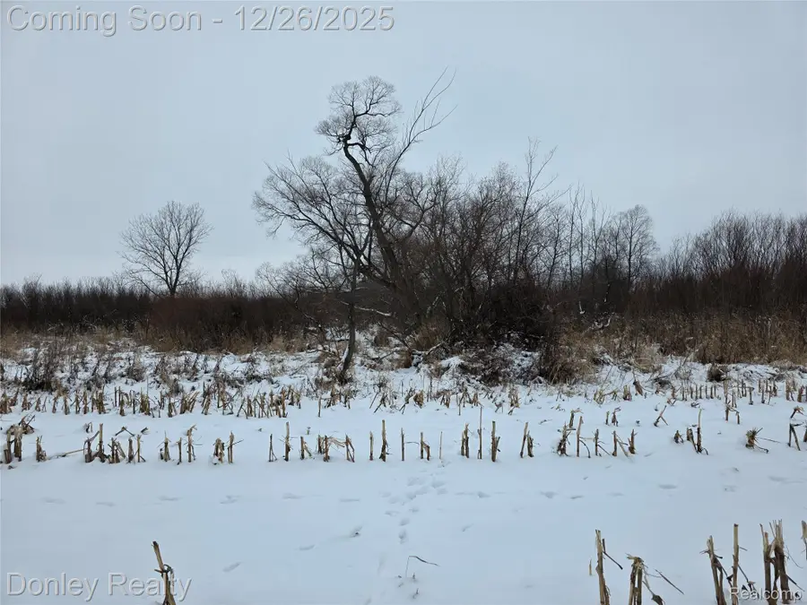 9999 Montgomery, Marlette Township, MI 48453 - Image #3