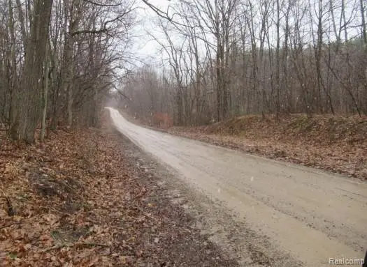 14510 Washburn Road, Otter Lake, MI 48464 - Image #3