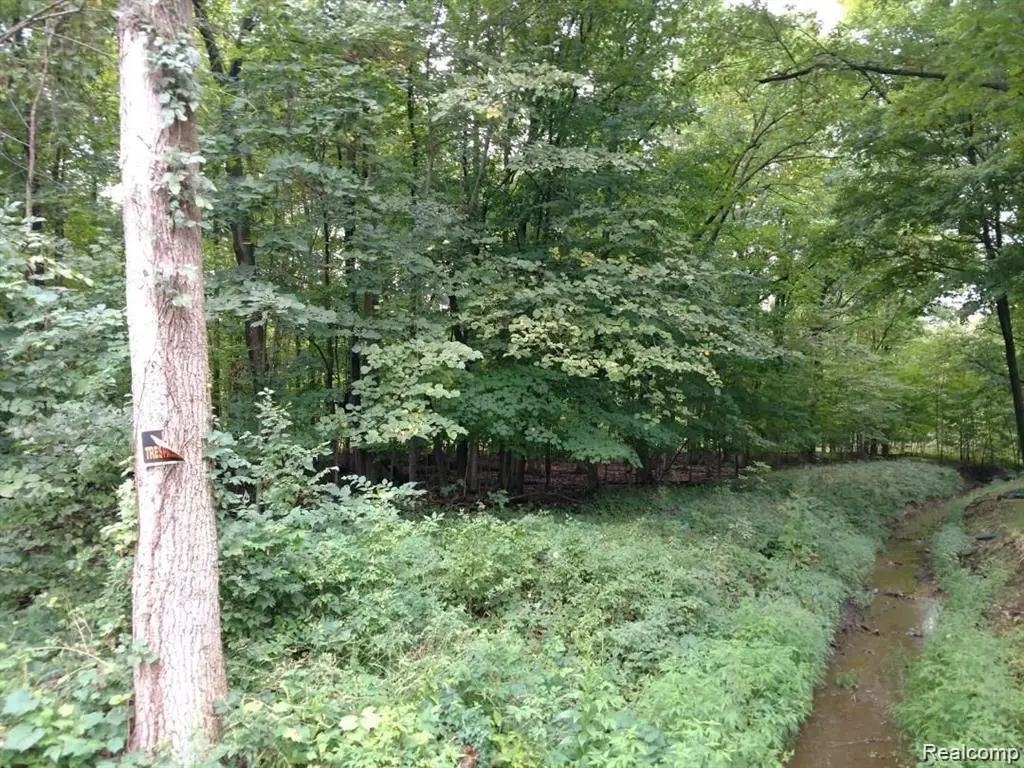 03 Joann Drive, Newport, MI 48166 - Image #1