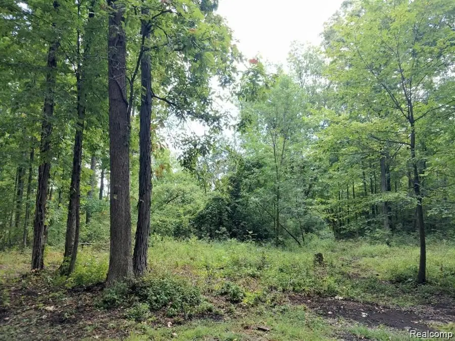 03 Joann Drive, Newport, MI 48166 - Image #3