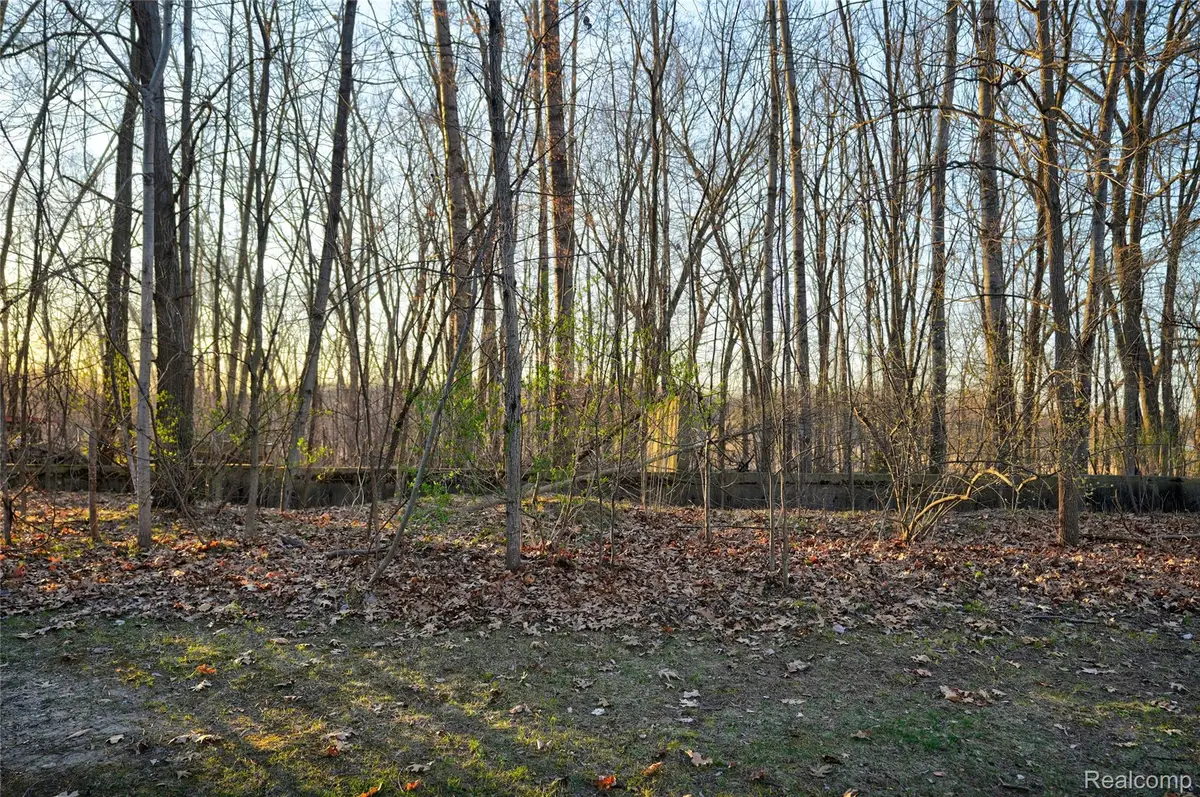 VL Pineview Lake Drive, Linden, MI 48451 - Image #1