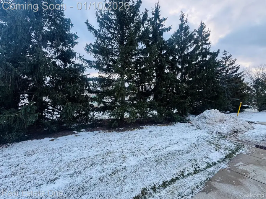 52210 S Gabriella Lane #39, Macomb, MI 48042 - Image #2