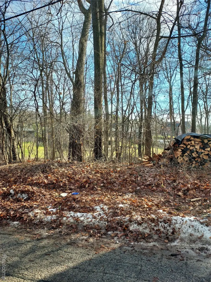 (Parcel ID: 1906451059) Hamilton, Bloomfield, MI 48302 - Image #2