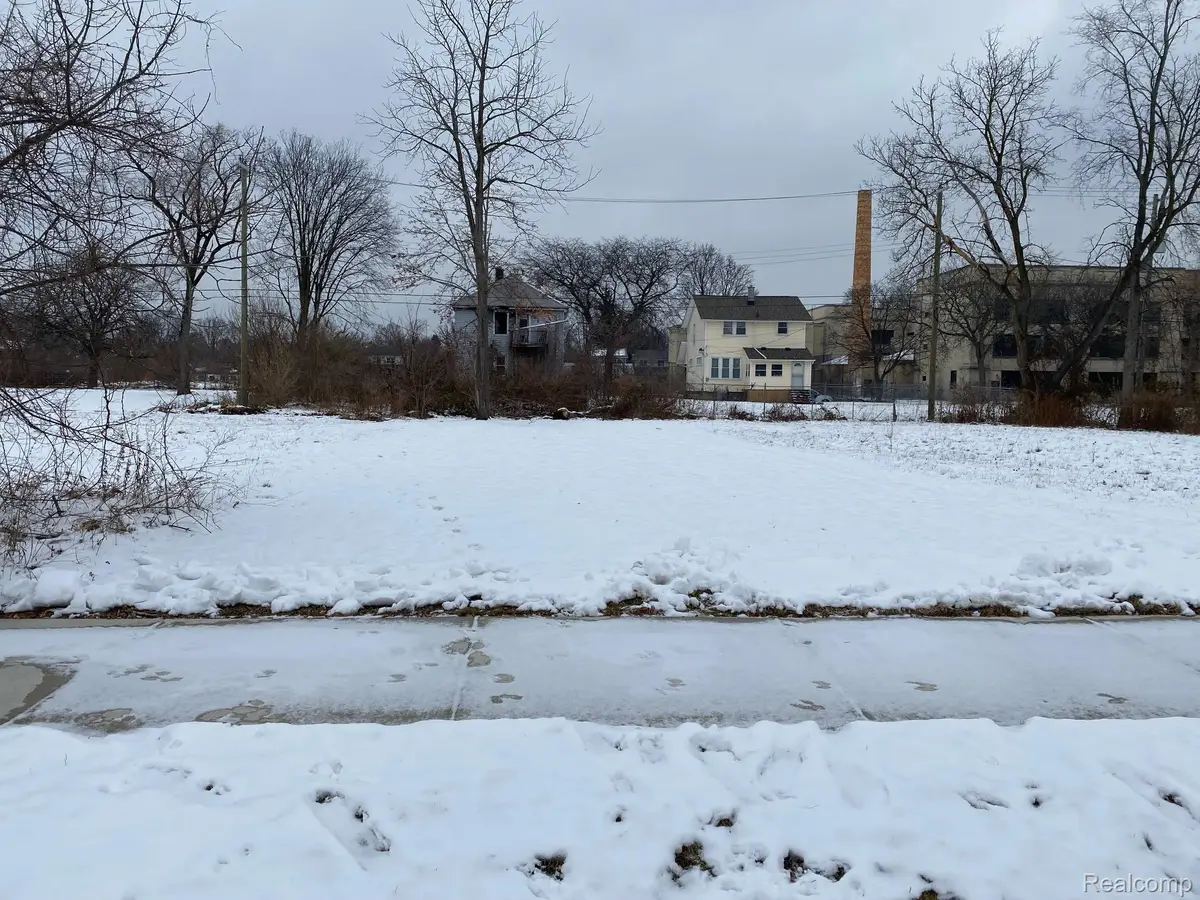 398 Louise Street, Highland Park, MI 48203 - Image #1