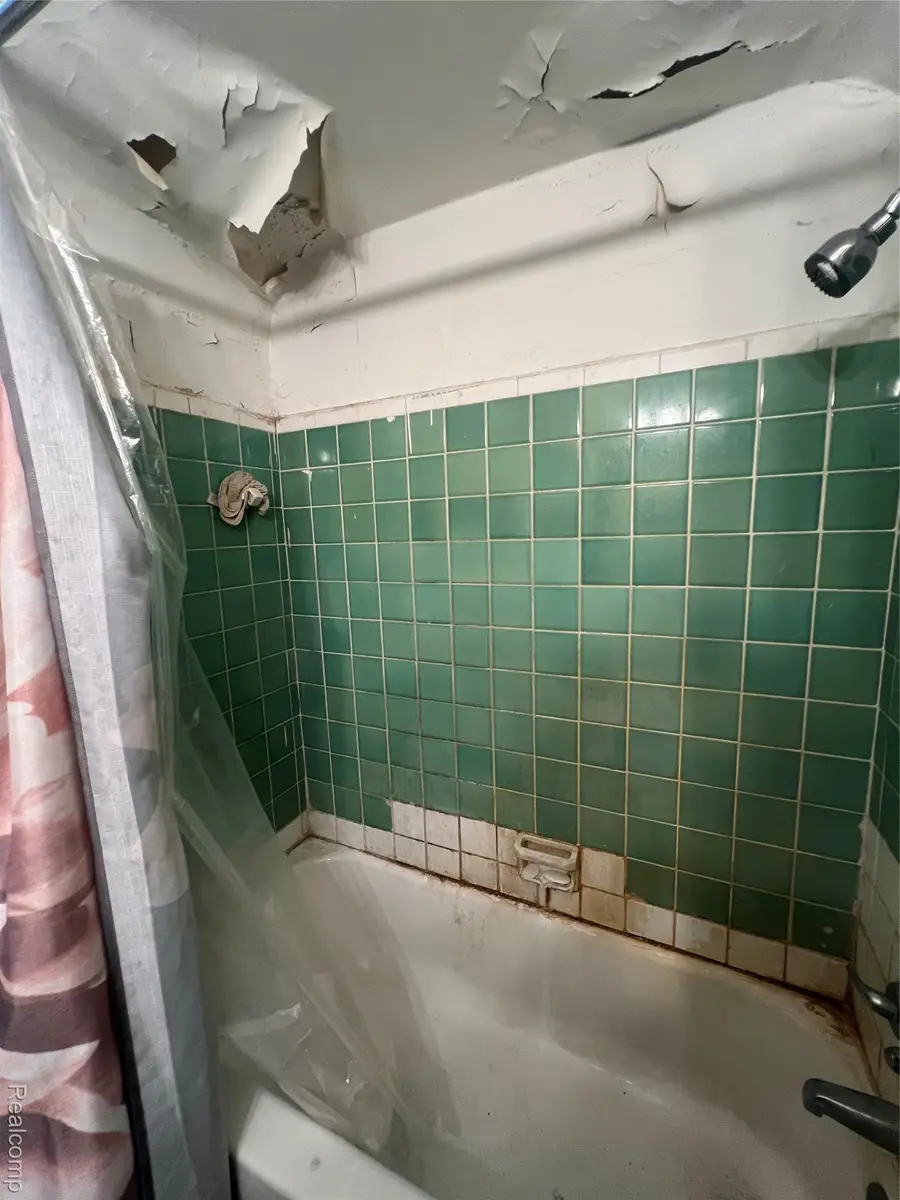 19528 Annott Street, Detroit, MI 48205 - Image #3