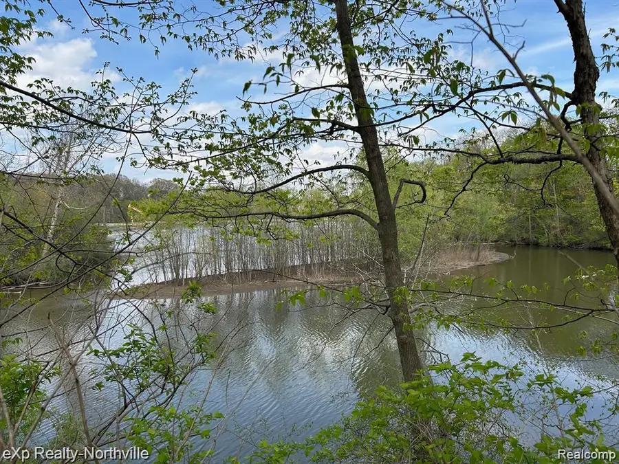 1103 N Mill Street, Plymouth, MI 48170 - Image #2