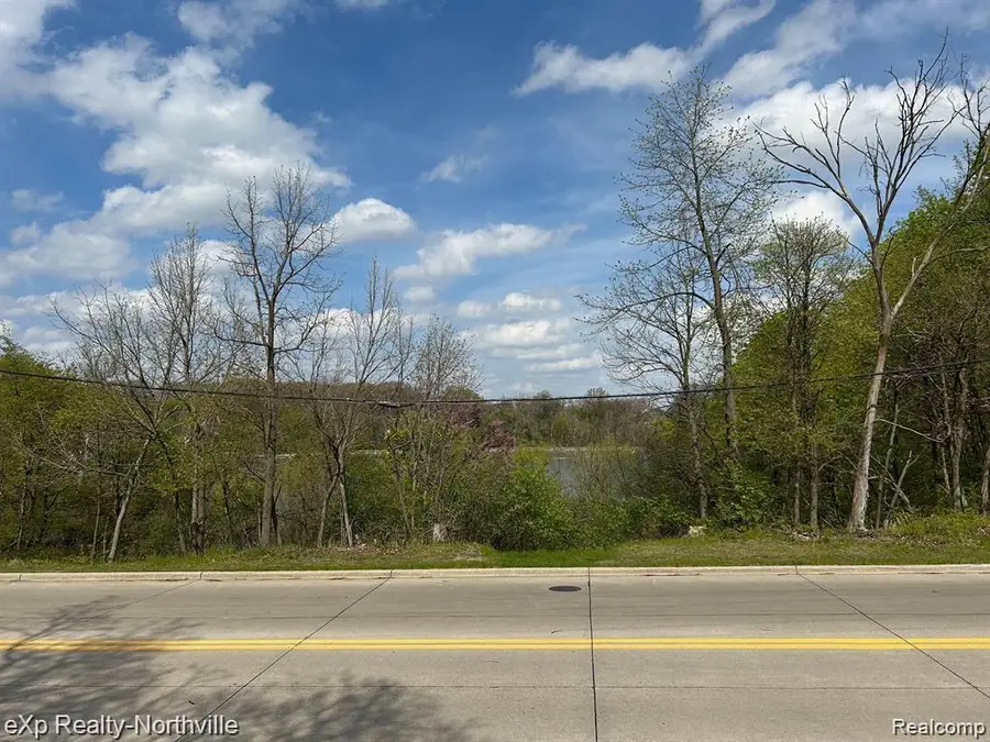 1103 N Mill Street, Plymouth, MI 48170 - Image #3