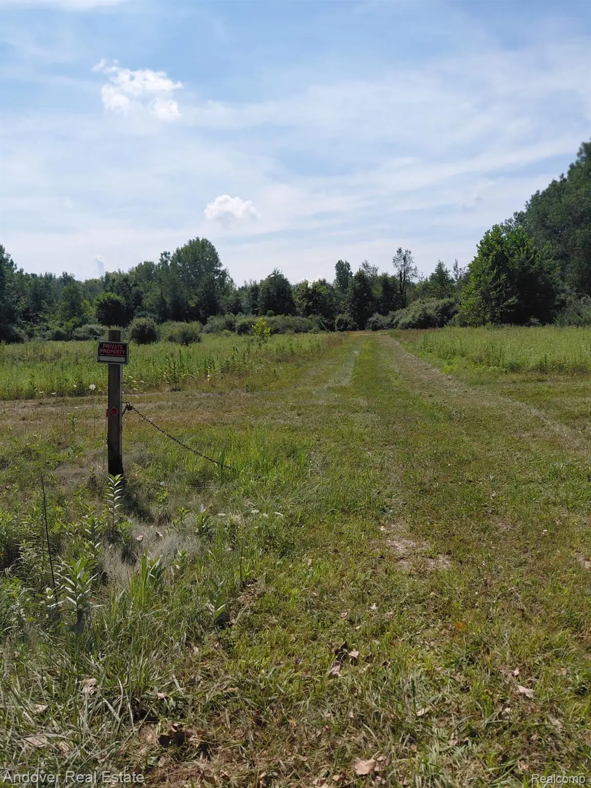 00C Allison Road, Milan, MI 48160 - Image #1