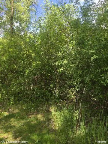 0000 Highland Park Drive, Highland, MI 48356 - Image #3