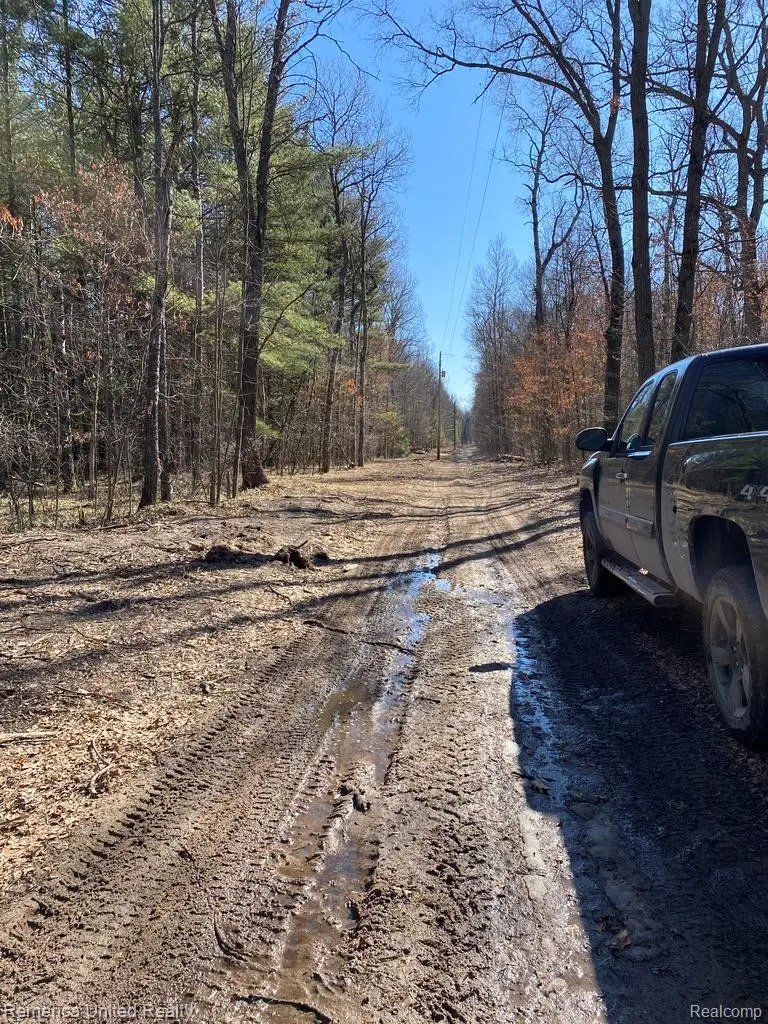 0 Timber Lane, Alger, MI 48610 - Image #2