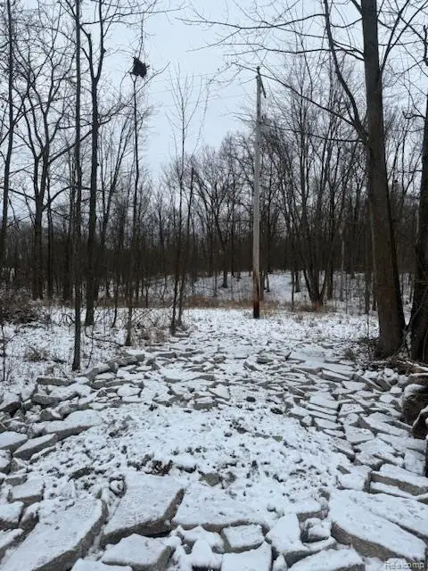 0 Williams Road, Gaines, MI 48436 - Image #1