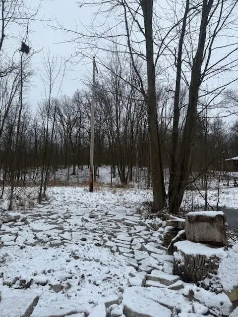 0 Williams Road, Gaines, MI 48436 - Image #2