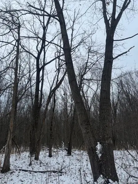 0 Williams Road, Gaines, MI 48436 - Image #3