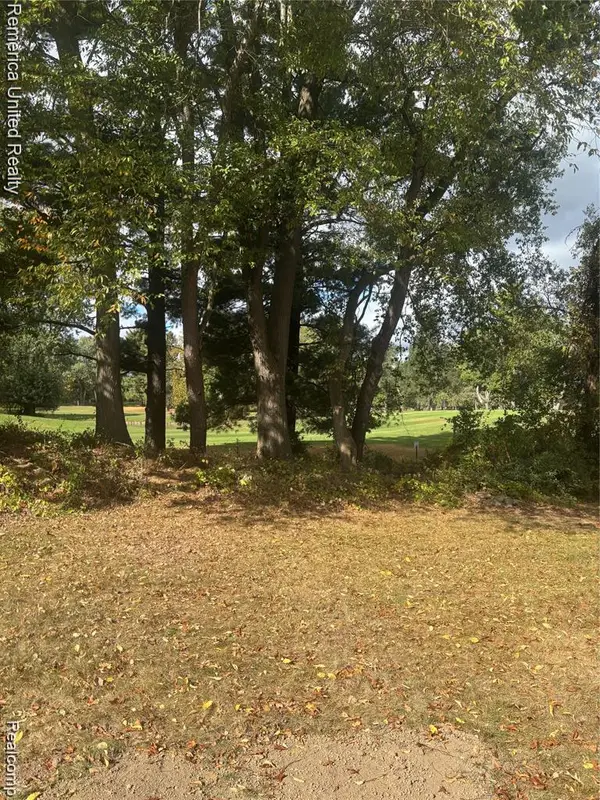 154 Golfview Drive, Brooklyn, MI 49230