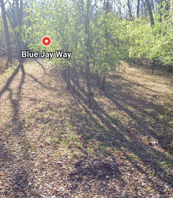 00000 Blue Jay Way Lane, WestBloomfield, MI 48322