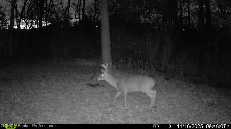 VL Rattle Run Road, Saint Clair Township, MI 48079 - Image #2