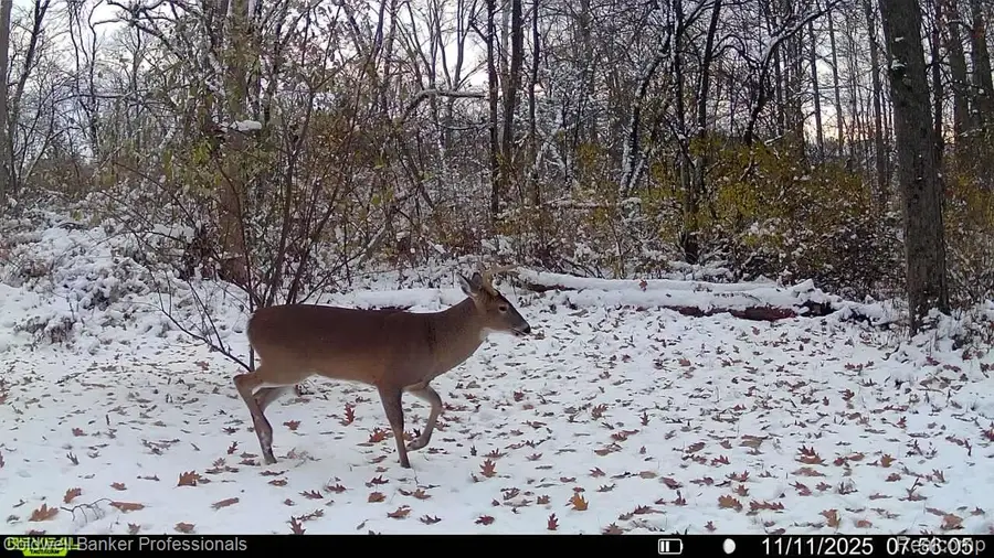VL Rattle Run Road, Saint Clair Township, MI 48079 - Image #3